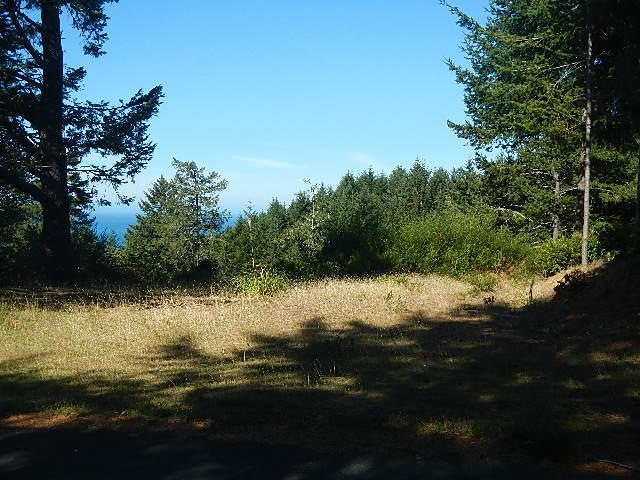 DSCN0934