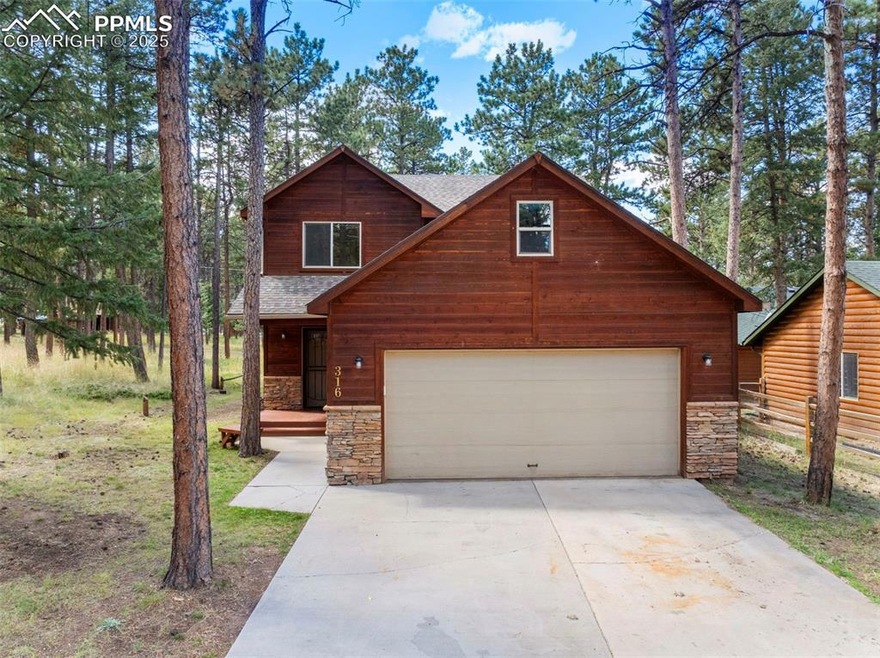 316 N Walnut St, Woodland Park, CO 80863 - photo 1