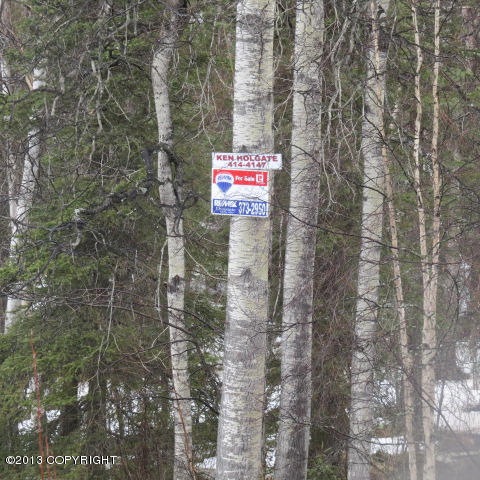 2001 Lucille St, Wasilla, AK 99654 - photo 1