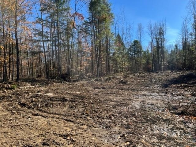 0 Windsor Rd unit 9 4887482, Hillsborough, NH 03244 - photo 1