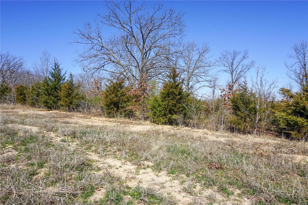 0 Cr 8170 unit MAR24016905, Newburg, MO 65550 - photo 1