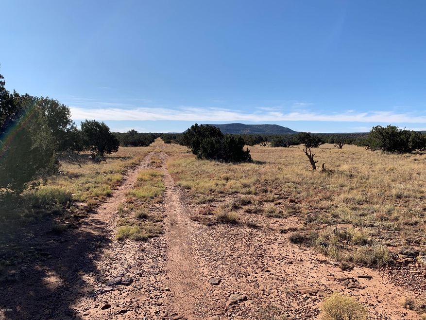 View towards Mesa Redondo