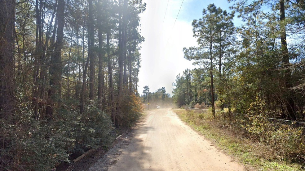 00 Live Oak Dr, Plantersville, TX 77363 - photo 1