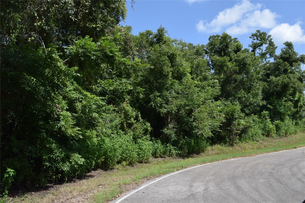 0 Colony unit 35802156, Angleton, TX 77515 - photo 1