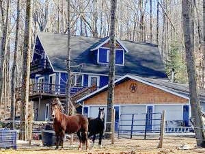 20210323151608287910000000