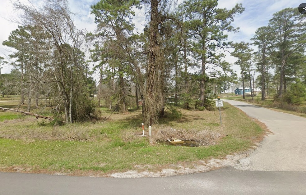 0 Fm-224 unit 95503869, Coldspring, TX 77331 - photo 1