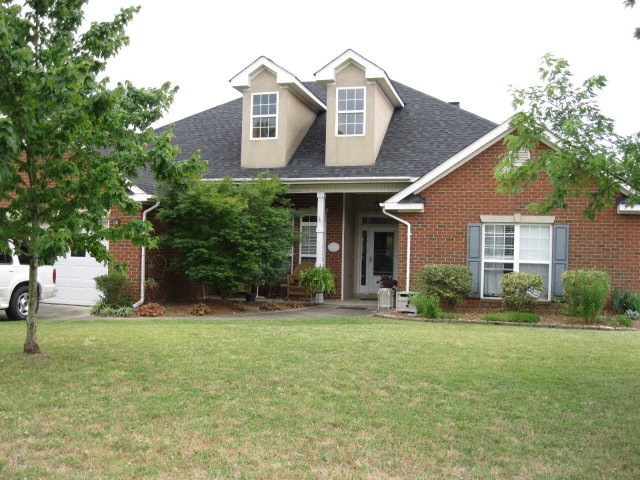 Main View