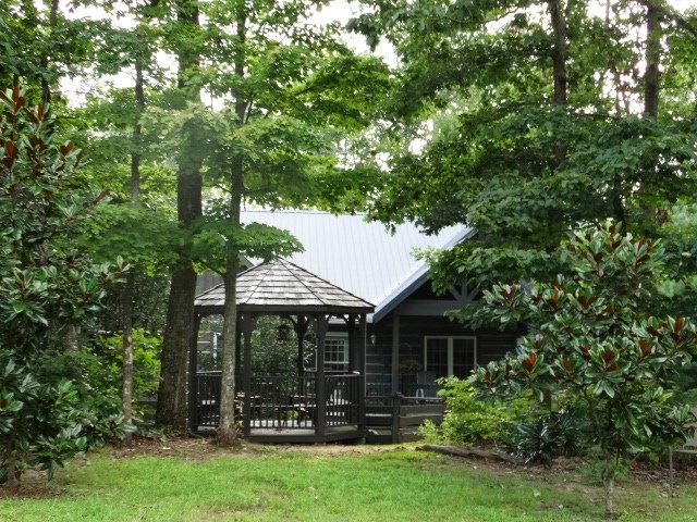 Main View