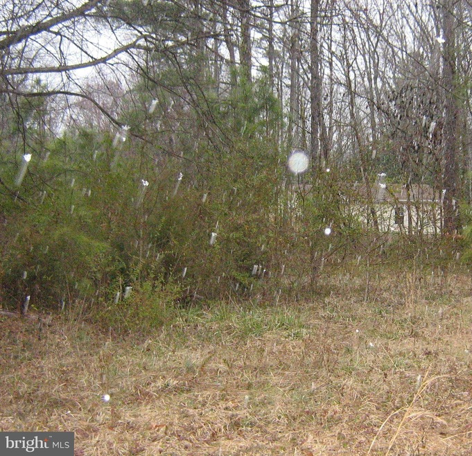 6 Wildwood Rd, Colonial Beach, VA 22443 - photo 1