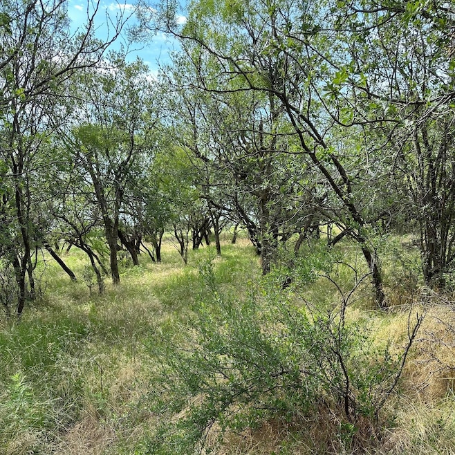 For Sale $154,000 • Co-Listing Agent