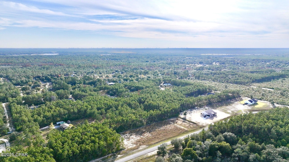 14740 Bream Pond Rd, Panama City, FL 32409 - photo 1