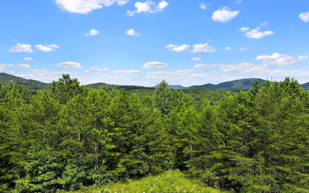 Lot 1 N View Dr, Mineral Bluff, GA 30559 - photo 1