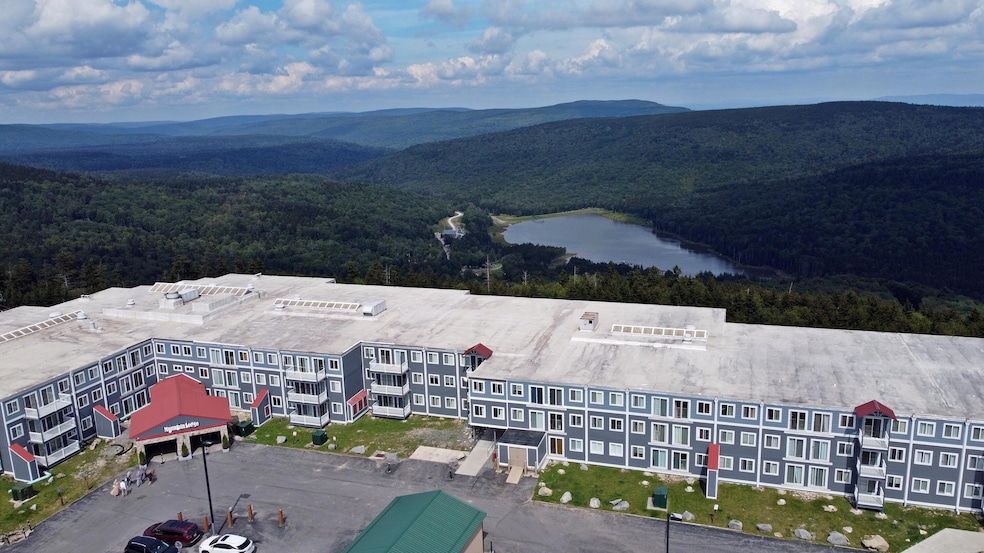 237 Mountain Lodge, Snowshoe, WV 26209 - photo 1