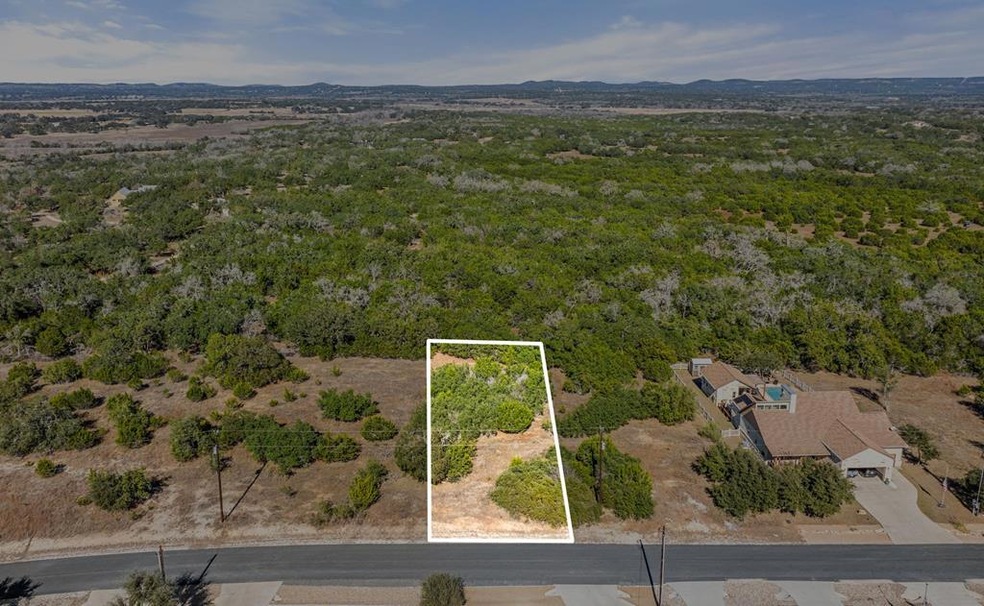 207 N Calvin Barrett unit 220, Blanco, TX 78606 - photo 1