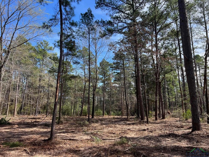 1100 Victory School Rd  