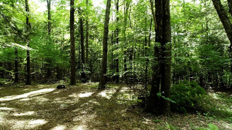 42 Rustlewood Ridge, Northampton, MA 01062 - photo 1