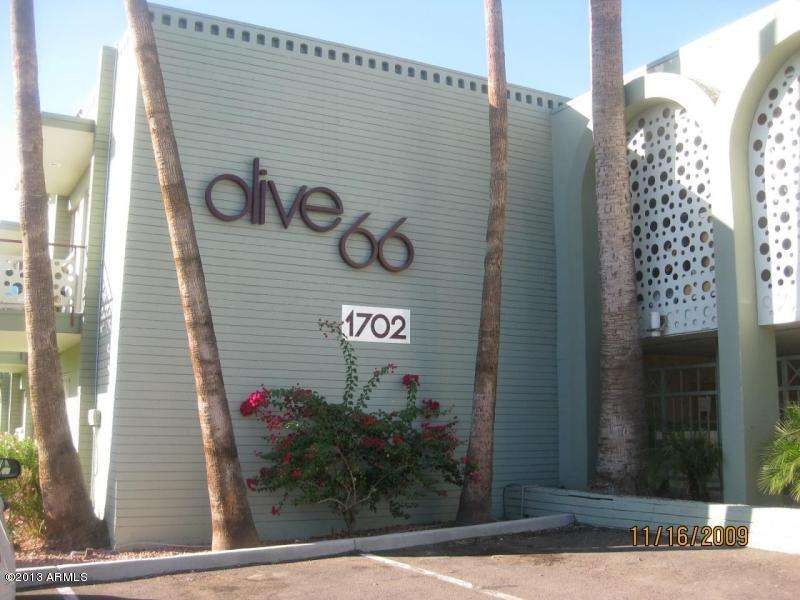 Olive 66 Front Outside