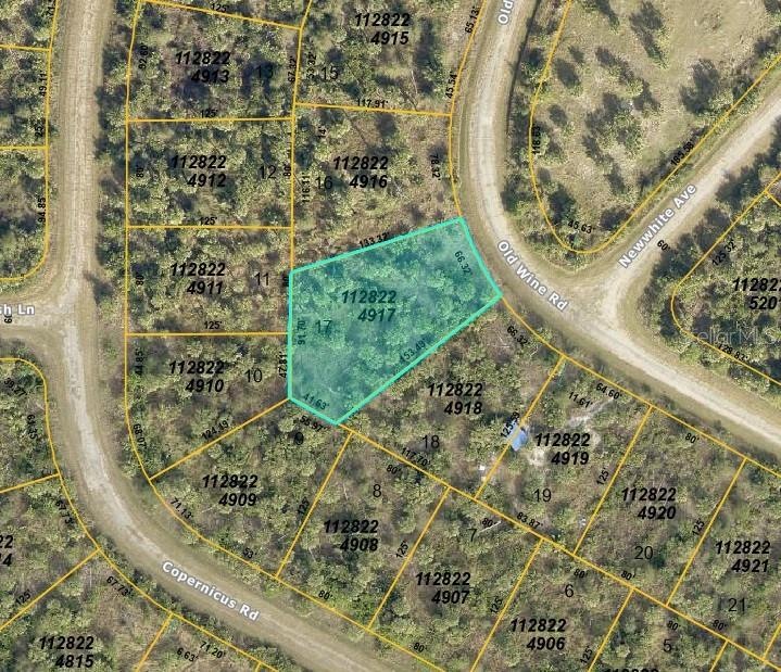 County map of lot