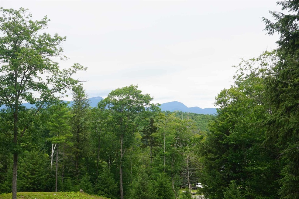 0 Whittier Map R1 Block 32 Hwy unit 4877024, Sandwich, NH 03227 - photo 1