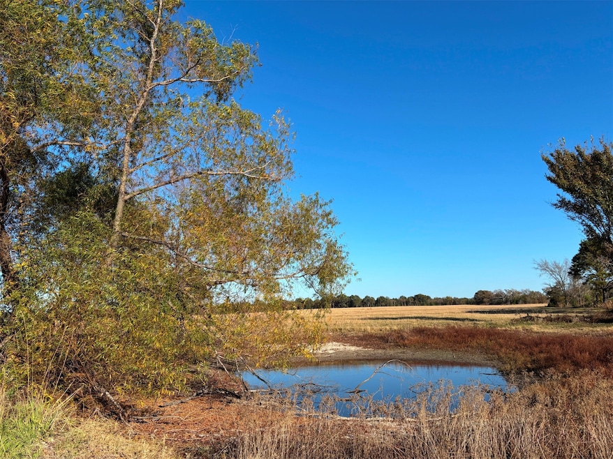 000 Fm 1653, Ben Wheeler, TX 75754 - photo 1