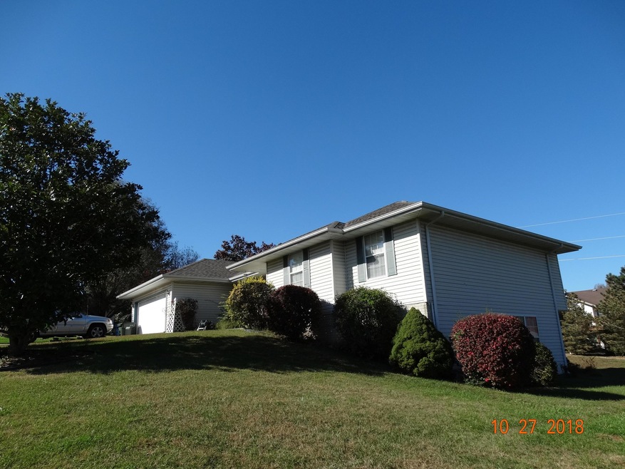 4109 Rabbit Run, Nixa, MO 65714 - photo 1
