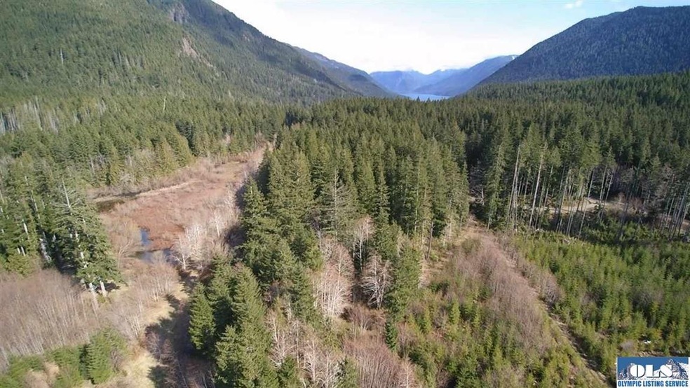 Looking East on the property, Lake Crescent close 