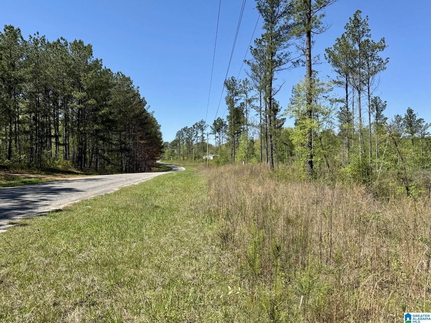 Tract 3 County Road 268 unit 3, Roanoke, AL 36274 - photo 1