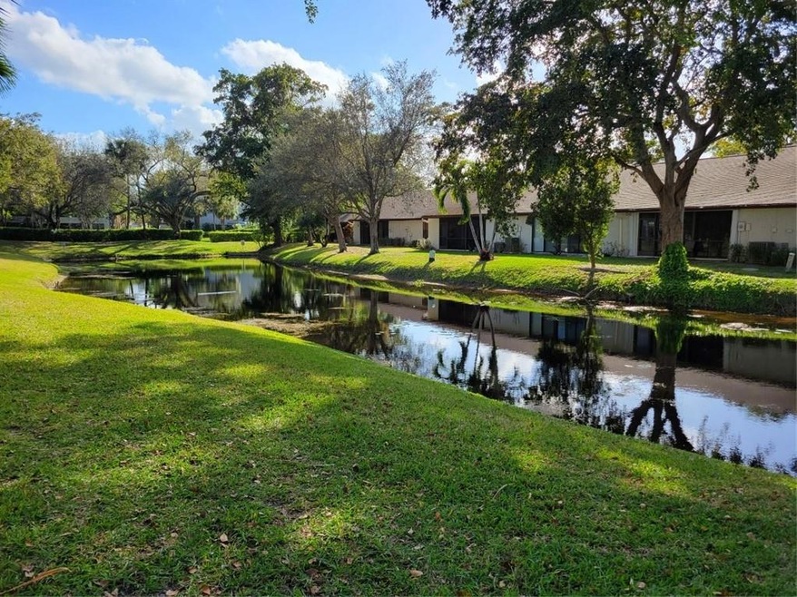Serene Water View