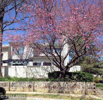 9313 Grazing Terrace, Montgomery Village, MD 20886 - photo 1