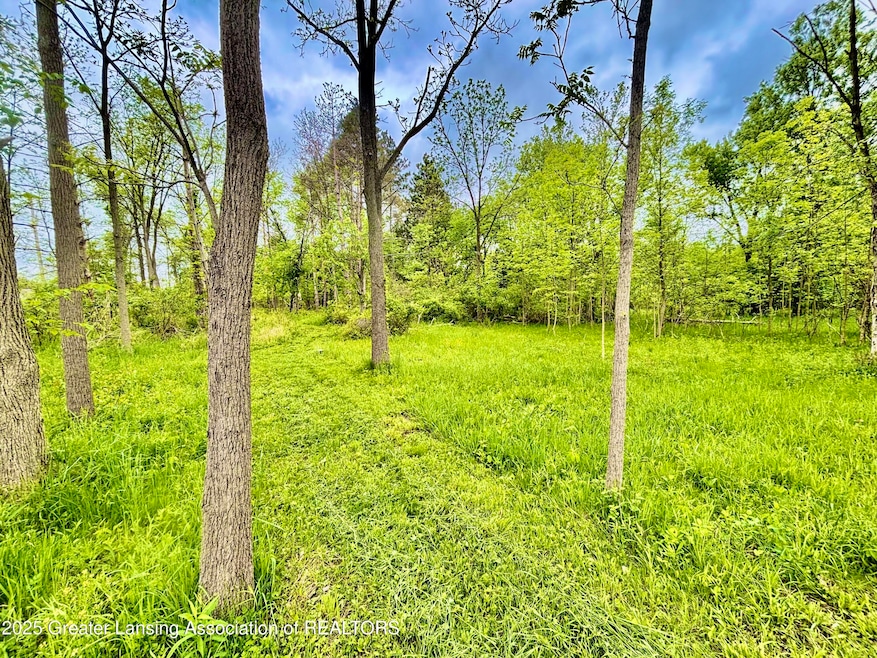 0 Lot B Willow, Lansing, MI 48917 - photo 1