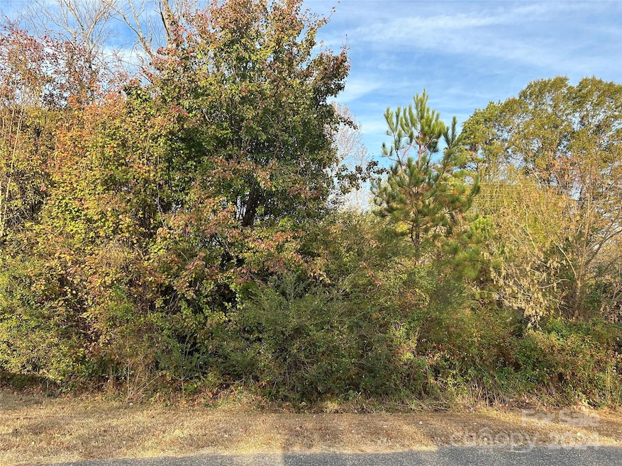 Lots 4 and 5 Poplar Cir, Shelby, NC 28152 - photo 1