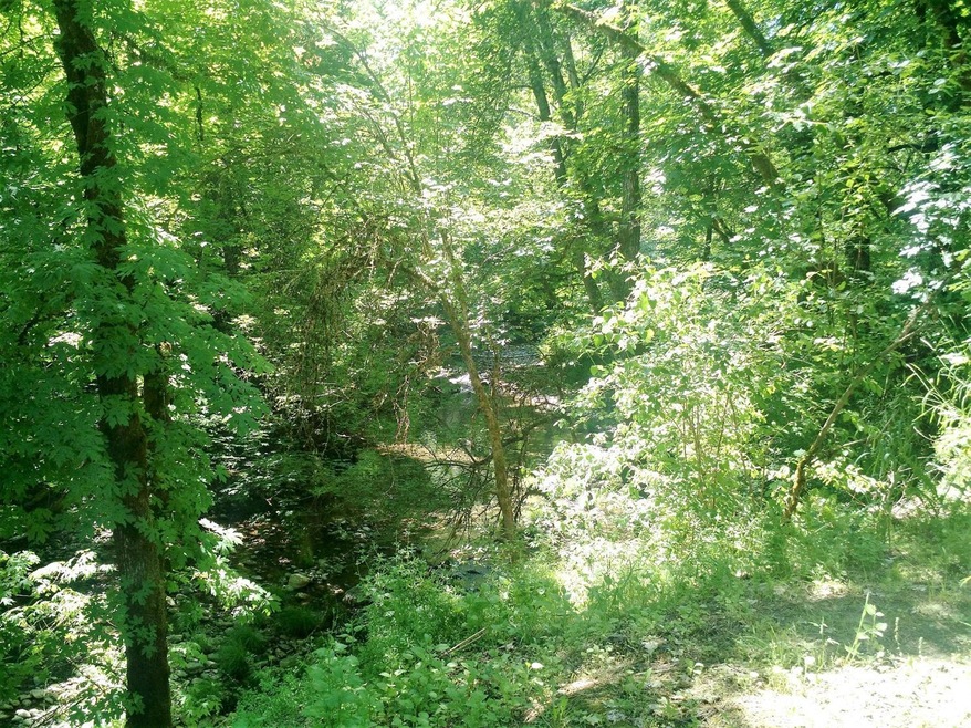 Primary Photo