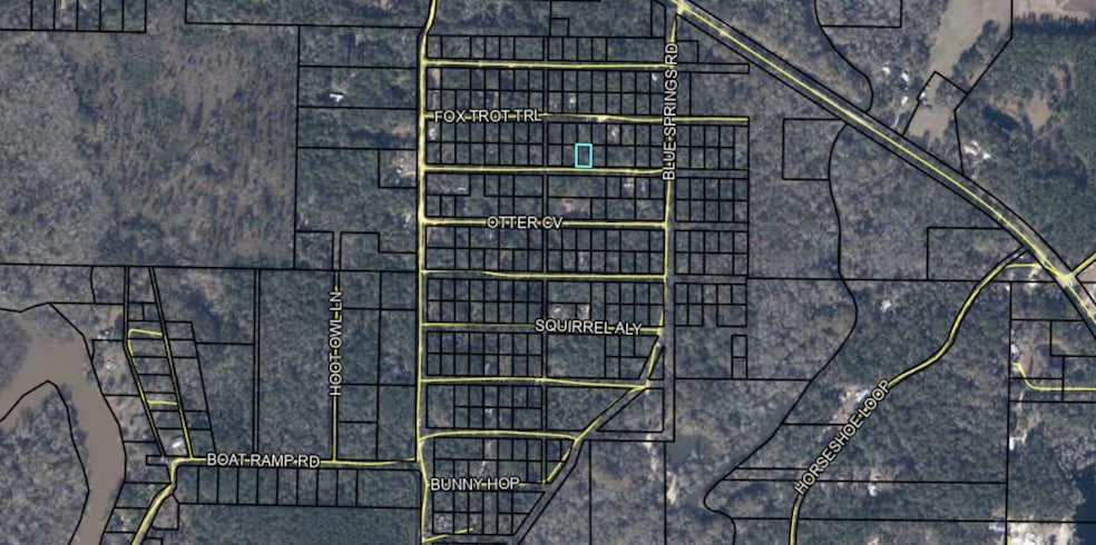 Lot 157 Possum Trott, Bonifay, FL 32425 - photo 1
