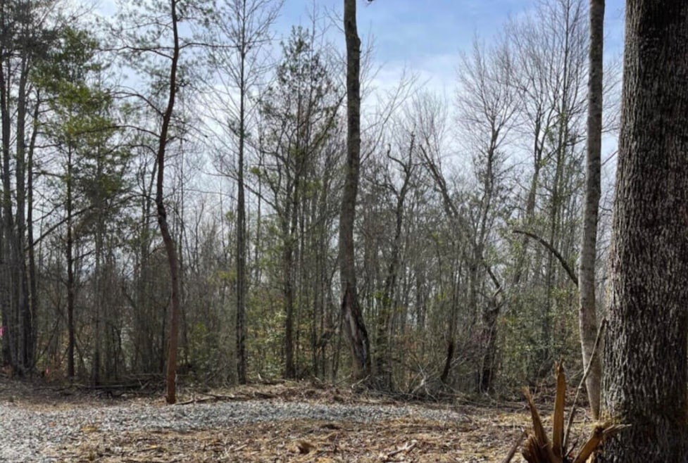 Tract Shadow Ridge Dr, Williamsburg, KY 40769 - photo 1