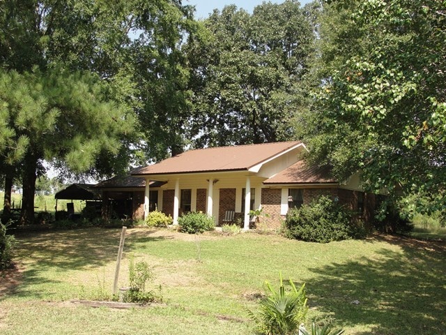 Main view