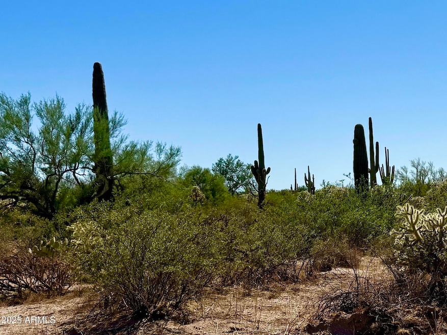 0 E Florence-Kelvin Hwy #2 10 Acre --, Florence, AZ 85132 - photo 1