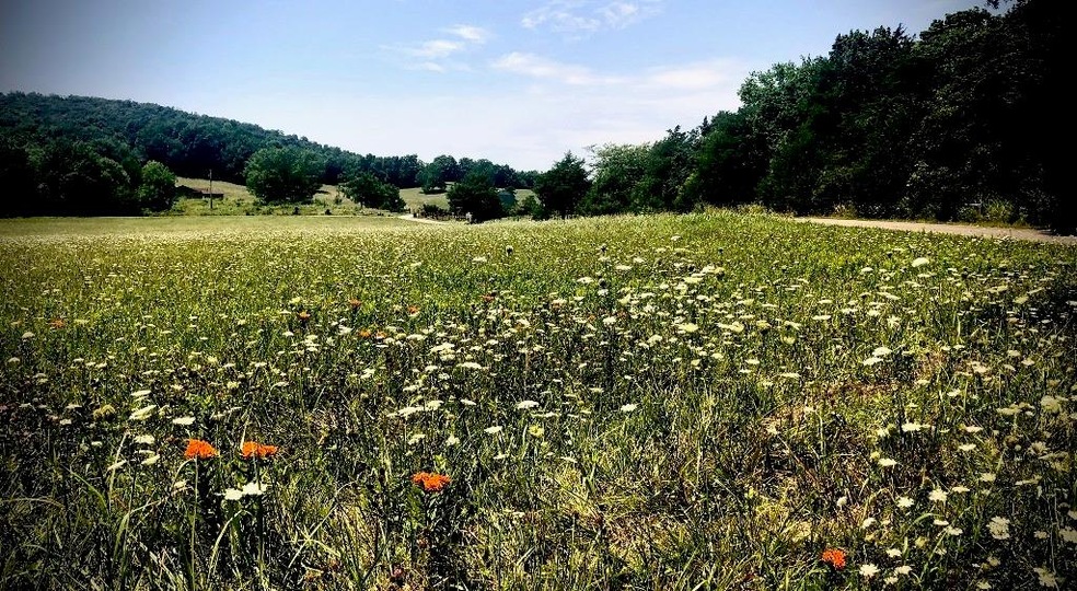 0 W Smith St unit 1174061, West Fork, AR 72774 - photo 1