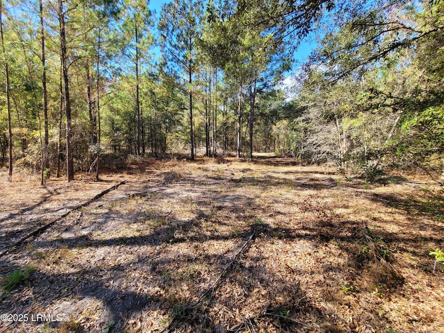TBD Beavers Rd, Ridgeland, SC 29936 - photo 1