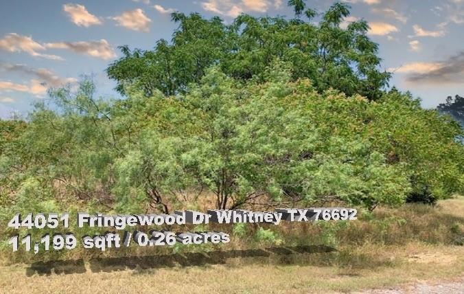 44051 Fringewood Dr, Whitney, TX 76692 - photo 1