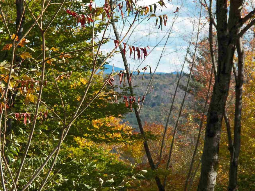 561 Hammond Hill Rd, Plymouth, NH 03264 - photo 1