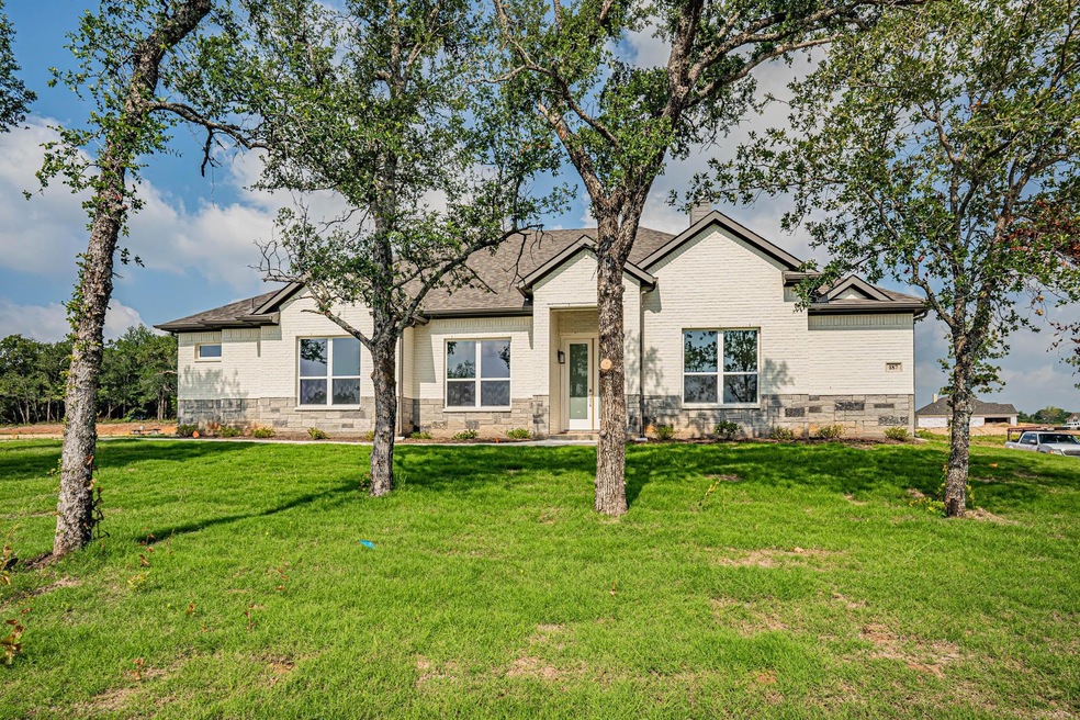 187 Lucky Ridge Ln, Boyd, TX 76023 - photo 1