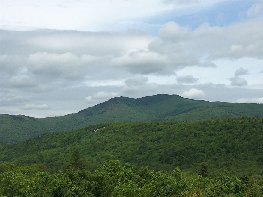 5 Black Bear Run unit 5, Center Tuftonboro, NH 03816 - photo 1