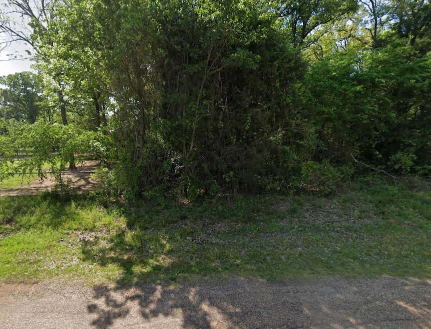 0 Lakeview Dr unit 25566071, Trinidad, TX 75163 - photo 1