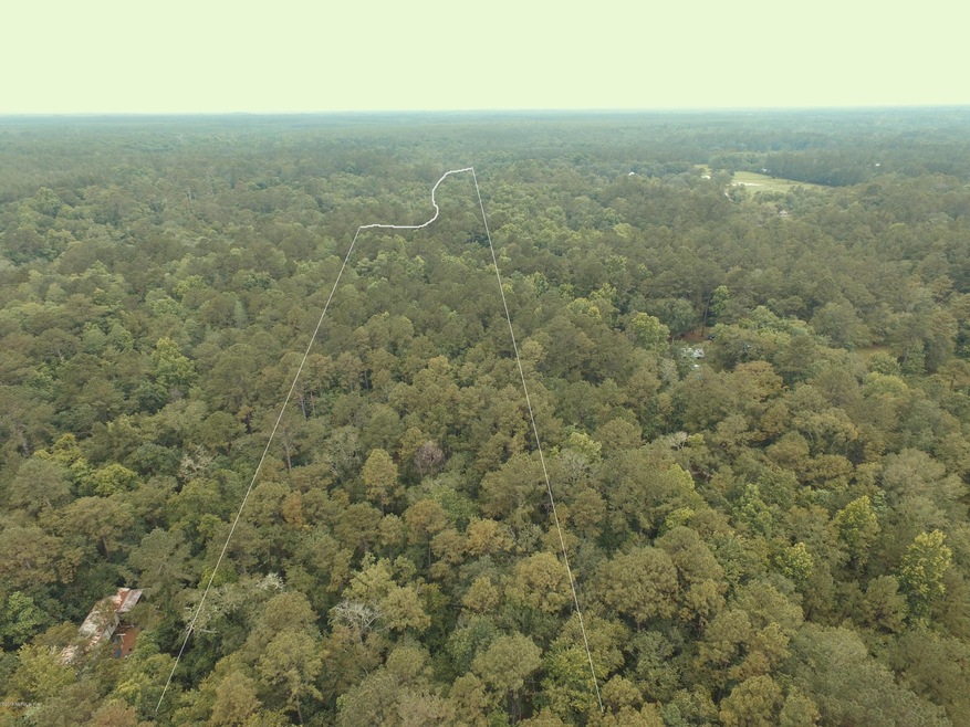 0000 Lightning Ln, Middleburg, FL 32068 - photo 1