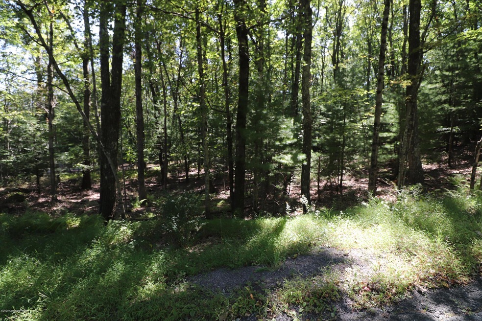 159 Majestic Dr, Chestnuthill Township, PA 18353 - photo 1