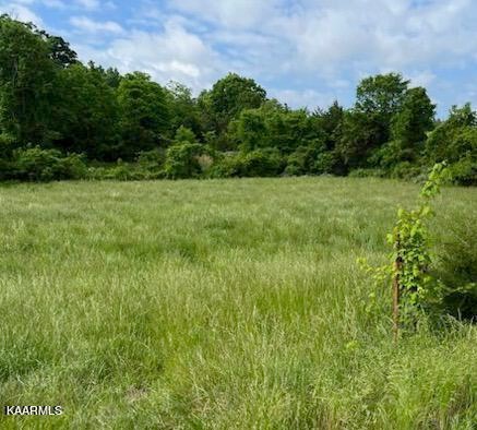 0 Blue Springs Pkwy unit 1228670, Mosheim, TN 37818 - photo 1