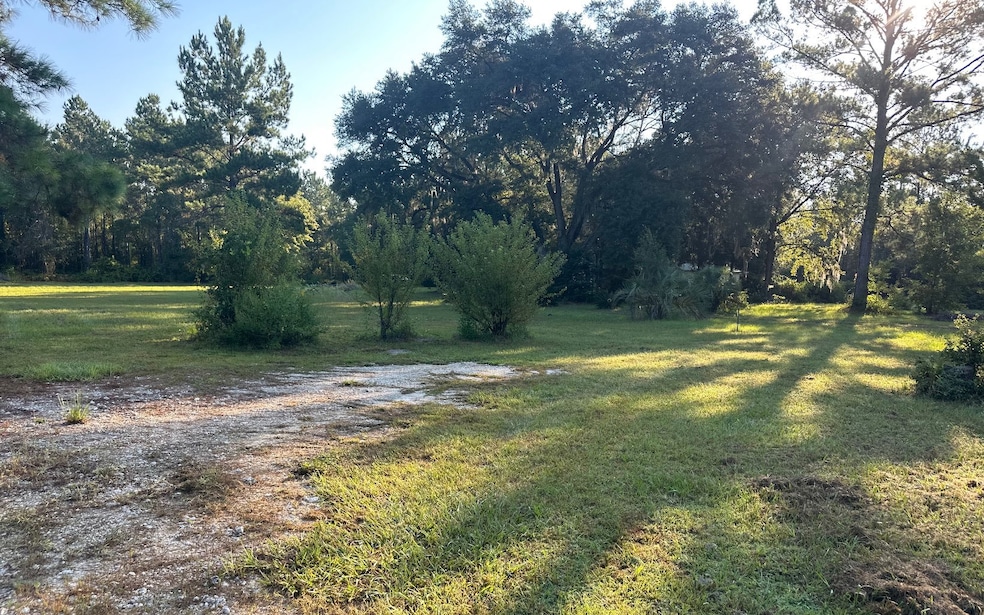 0 Highway 100 unit 128519, Lake Butler, FL - photo 1