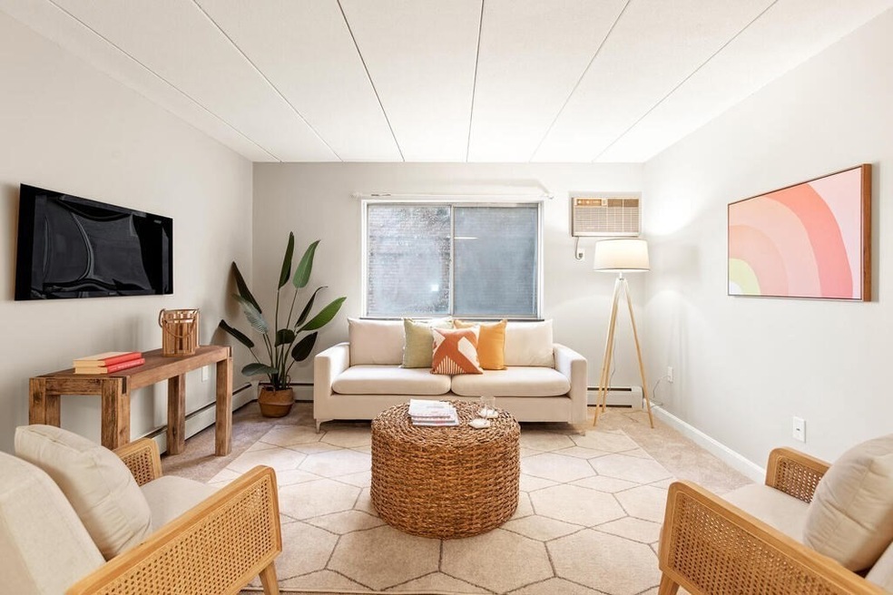 25 Homer Ave unit 11, Cambridge, MA 02138 - photo 1