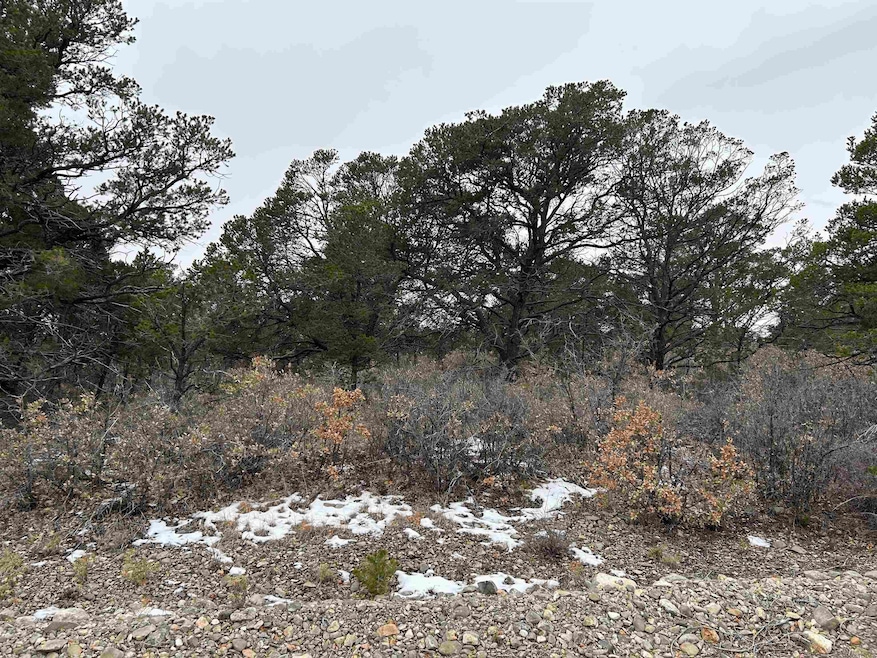 0 Trout Dr unit 30 170627, Timberon, NM 88350 - photo 1