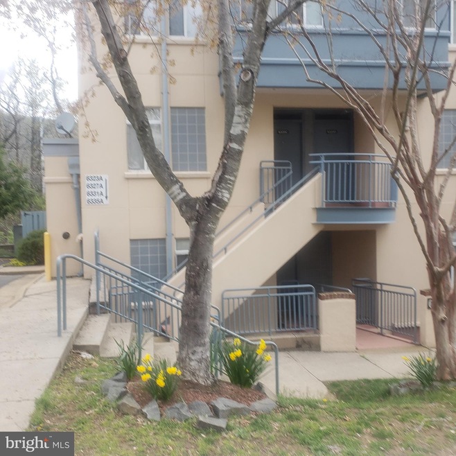 6331 Stevenson Ave unit A, Alexandria, VA 22304 - photo 1